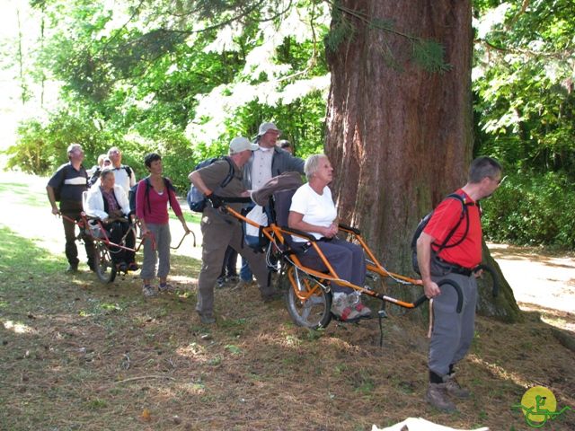 randonnée sportive avec joëlettes, Ovifat, 2012